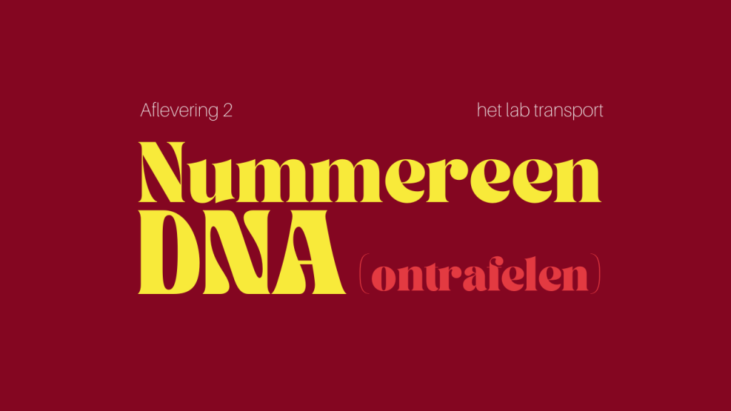 aflevering 2
